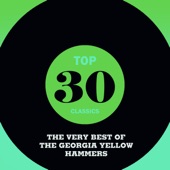 Top 30 Classics - The Very Best of the Georgia Yellow Hammers