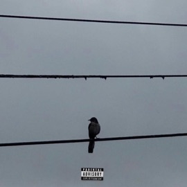 The Feeling Junclassic