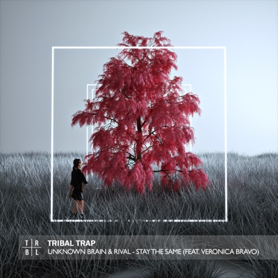 Stay the Same - Single