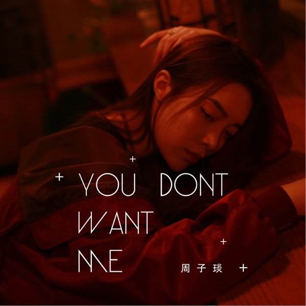 You Dont Want Me - Single