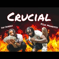 Crucial (feat. Scoe Money$$$) - Single - $ay Dinero