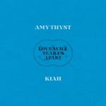 Amythyst Kiah - Love Will Tear Us Apart