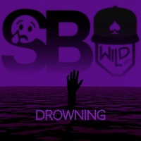 Drowning (Single Version) - Ace Wild & Sb Stevie