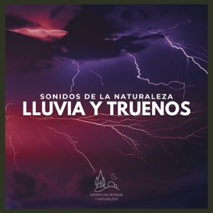 Sonidos de la Naturaleza: Lluvia y Truenos
