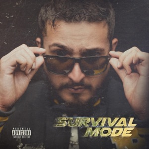 Survival Mode - Single