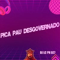 Pica Pau Desgovernado - Single - DJ LC PH DZ7
