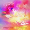 Introspection / Retrospection