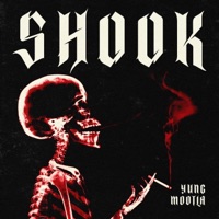 Shook - Single - Yung Mootla