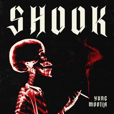 Shook - Single