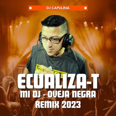 Mi Dj (Remix 2023) - Single