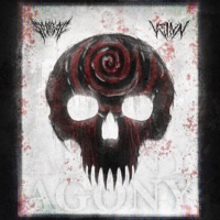 Agony - Single - SPIIRAL & VEINN
