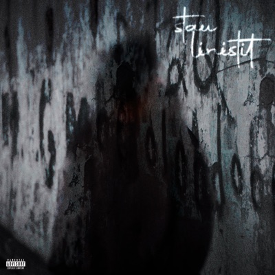Stau Linistit - Single