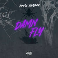Damn Fly - Single - Arman Aslanian