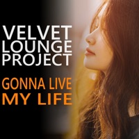 Gonna live my life (Radio Edit) - Single - Velvet Lounge Project
