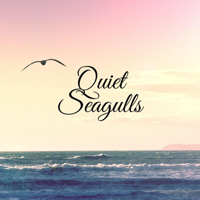 Quiet Seagulls - Single