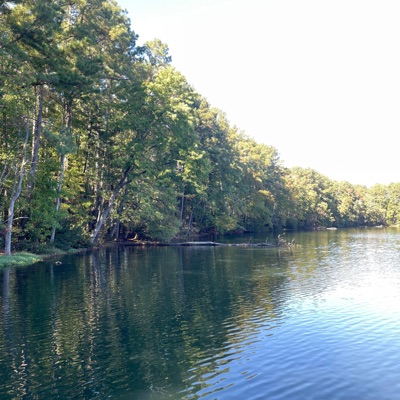 Therapy Logs - Single