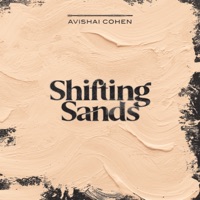 Shifting Sands - Avishai Cohen