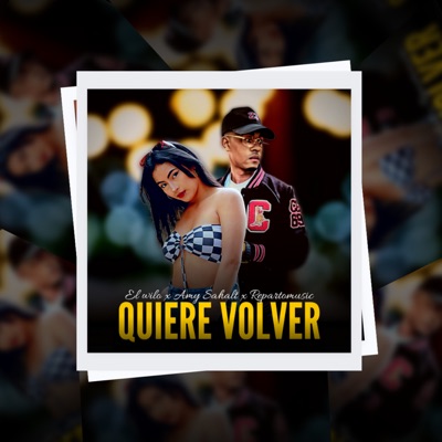 Quiere Volver - Single