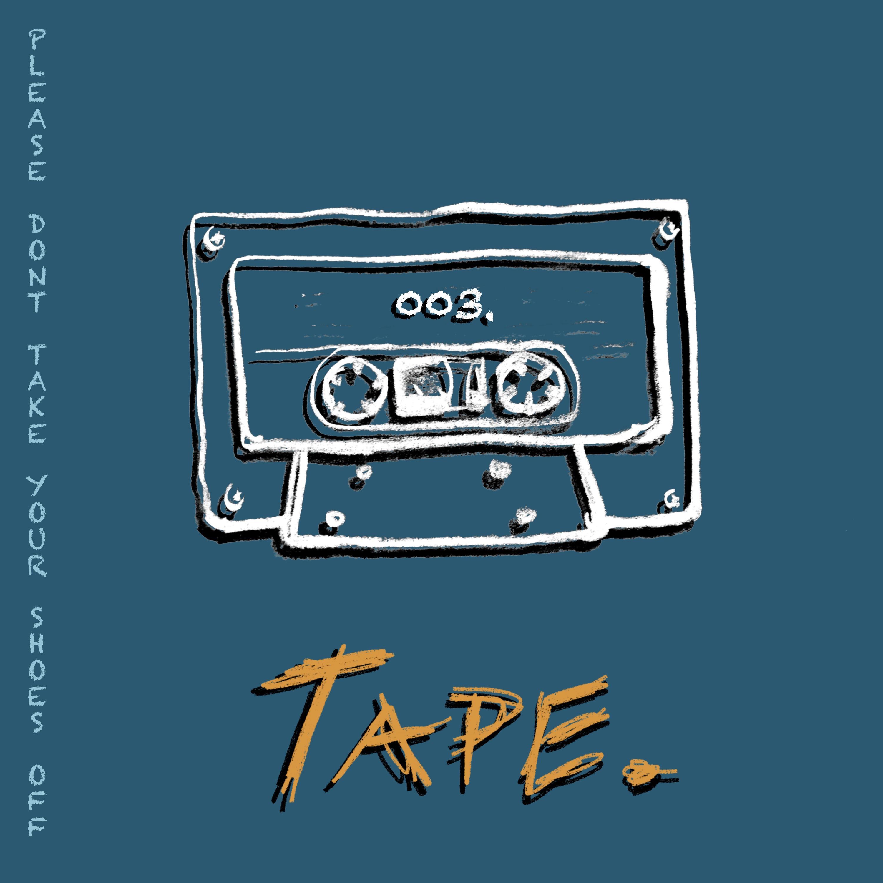 Please Don't Take Your Shoes Off - Single