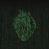 Cardiac Drift - Single