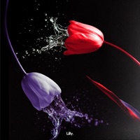 Seething - Single - Sol Novaro, VLLN & Jamie A