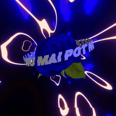 Nu mai pot (feat. NDG & SECHO) - Single