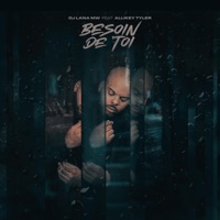Besoin De Toi (feat. Allikey Tyler) - Single - DJ LANA MW