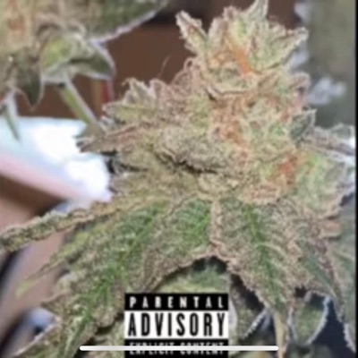 Smoked Out - Single