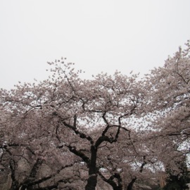 You Get It (feat. $Teev) nvcnee