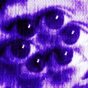 Singularity