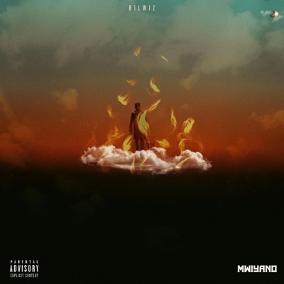 Song - Nabil vs Bilwiz - Bilwiz