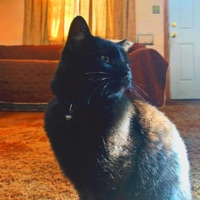 The Endless Summer Instrumentals - numbmoi