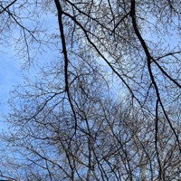 Pipe Down - Single - R9MI