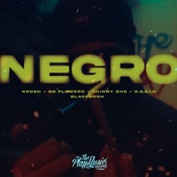 N-E-G-R-O (feat. Krosh, OG Flowers, Skinny Dhe & O.G.E.I.D.) - Single - Black Bersh