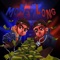 Money Long (feat. NGeeYL) - Boo Ca$h lyrics
