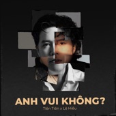 Anh Vui Không? artwork