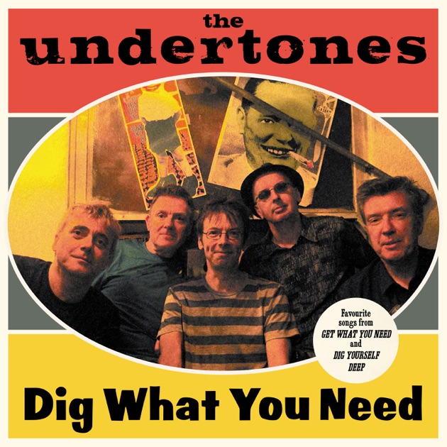 Teenage Kicks - The Very Best of the Undertones - Album by