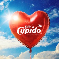 Dile a Cupido - Single - Rafa Romera