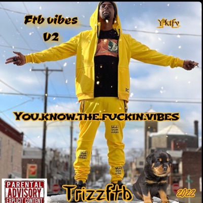FTB VIBES V3 Yktfv