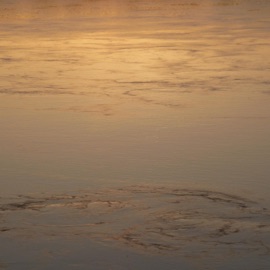 All the Way Down (feat. Churemi) One Onion