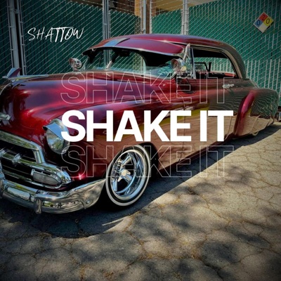 Shake It - Single