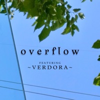 overflow (feat. Verdora) - Single - ifyouWilL