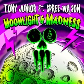 Moonlight & Madness (feat. Spree Wilson) artwork