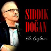 Yar Ben Sana Eş Olam artwork