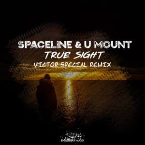 True Sight (Victor Special Remix) - Single