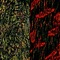 Stay Down (feat. Dorta Oris) - 8ickleaux lyrics