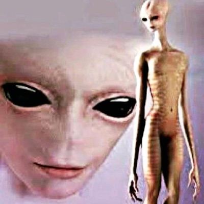 wfaas alfass & Lil Sucata - YABUJIN PEREIRA DA SILVA