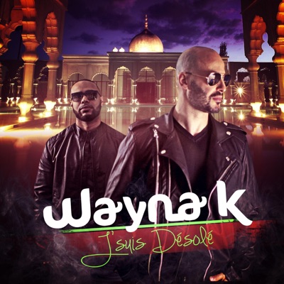 J'suis Désolé - Single