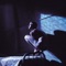 Slow Marimbas - Peter Gabriel lyrics