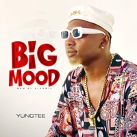 Big Mood - Single - Yungtee